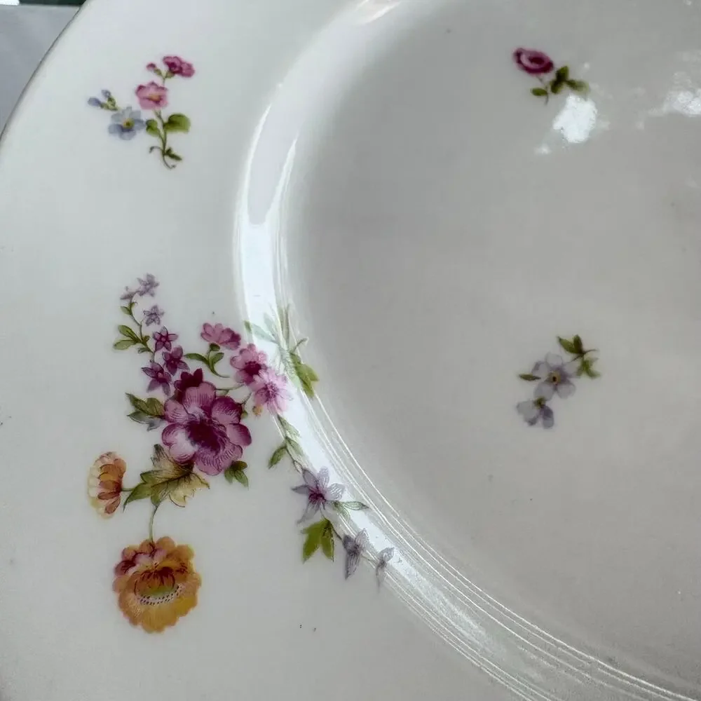 Bernardaud & Co Limoges collected delicate porcelain